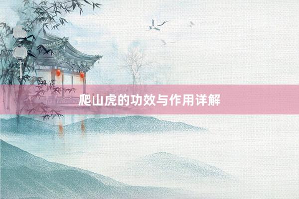 爬山虎的功效与作用详解
