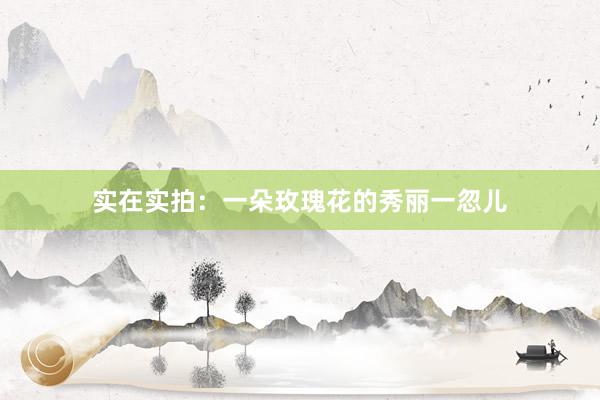 实在实拍：一朵玫瑰花的秀丽一忽儿