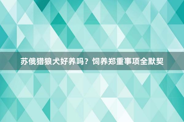 苏俄猎狼犬好养吗?饲养郑重事项全默契