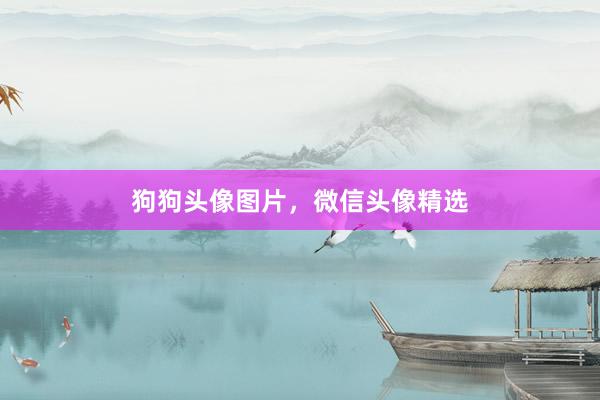 狗狗头像图片，微信头像精选