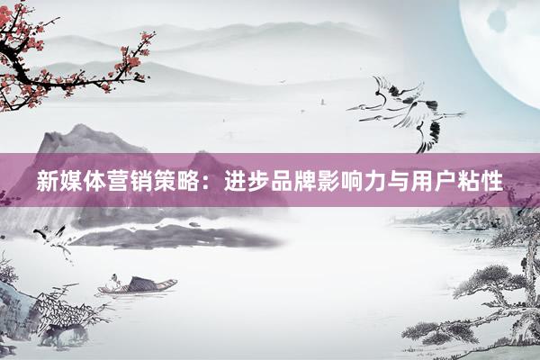 新媒体营销策略：进步品牌影响力与用户粘性